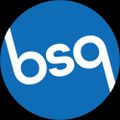 Profile picture bsquiklehausen.com