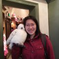 Profile picture yuliding.bsky.social