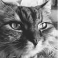 Profile picture jnyanydts.bsky.social