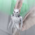 Profile picture mintowl.bsky.social