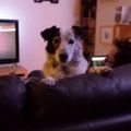 Profile picture lynndunlop.bsky.social