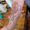 Profile picture squid67.bsky.social