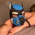 Profile picture mugsypup.bsky.social