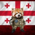 Profile picture babayagafella.bsky.social