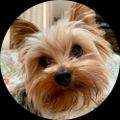 Profile picture keriqbaum.bsky.social