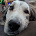 Profile picture minorkatastrophe.bsky.social
