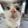 Profile picture nooogle.bsky.social