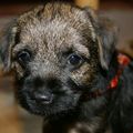 Profile picture helgemnielsen.bsky.social