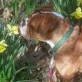 Profile picture groundsguy.bsky.social