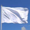 Profile picture eatyourflag.bsky.social