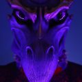 Profile picture shaeliseroth.bsky.social