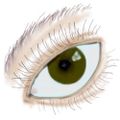 Profile picture webbix.bsky.social