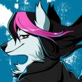 Profile picture yukithewolf.bsky.social
