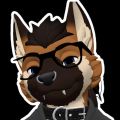 Profile picture rileydoggo.bsky.social