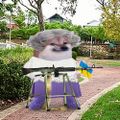 Profile picture ladyevenstarbpe.bsky.social