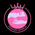Profile picture thefindomworld.bsky.social