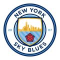 Profile picture newyorkskyblues.com