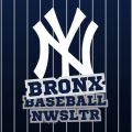 Profile picture bronxbsblnwsltr.bsky.social