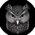 Profile picture intelnightowl.bsky.social