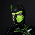 Profile picture pupslate.bsky.social