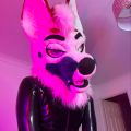 Profile picture puptauri.bsky.social