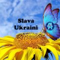 Profile picture occupyonelove.bsky.social