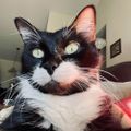 Profile picture meetcharliechap.bsky.social