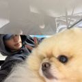 Profile picture byunghohkg.bsky.social