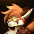 Profile picture nomadicfox.bsky.social
