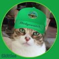 Profile picture skittlesandfriends.bsky.social