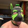 Profile picture cliff-the-pup.bsky.social