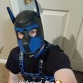 Profile picture untrainedpup.bsky.social