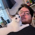 Profile picture cohostsherms.bsky.social