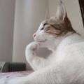 Profile picture stirredorshaken.bsky.social