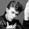 Profile picture bowiegrrl.bsky.social
