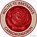 Profile picture rhondago.bsky.social