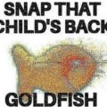 Profile picture prancinggoldfish.bsky.social