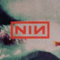 Profile picture nin.com