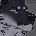 Profile picture wolfdaddi.bsky.social