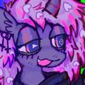 Profile picture vyletpony.com