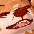 Profile picture cmddog.com