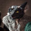 Profile picture charcoalsergal.bsky.social