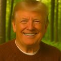 Profile picture nicedonaldtrump.bsky.social