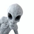 Profile picture bluesky777n.bsky.social