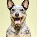 Profile picture cantstoptheplop.bsky.social