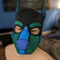 Profile picture frostypup.bsky.social