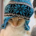 Profile picture lepetitepanther.bsky.social