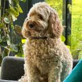 Profile picture annmb48.bsky.social