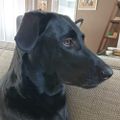 Profile picture skinoc.bsky.social