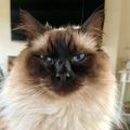 Profile picture princetoby.bsky.social